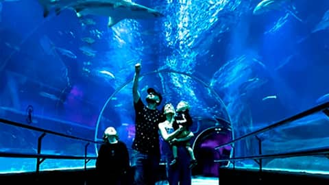 AquaRio